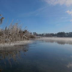 Ufer - Schafwaschener Bucht