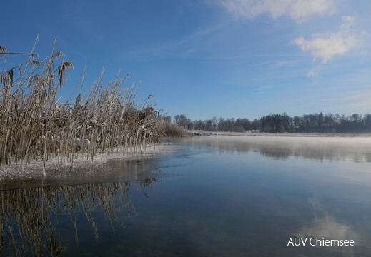 Ufer - Schafwaschener Bucht