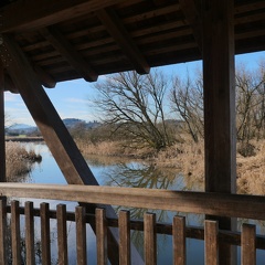 Am Greamandl Weiher