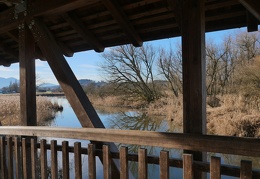 Am Greamandl Weiher