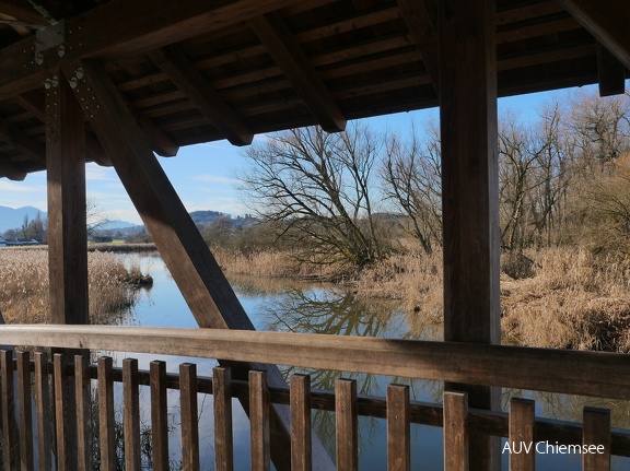 Am Greamandl Weiher