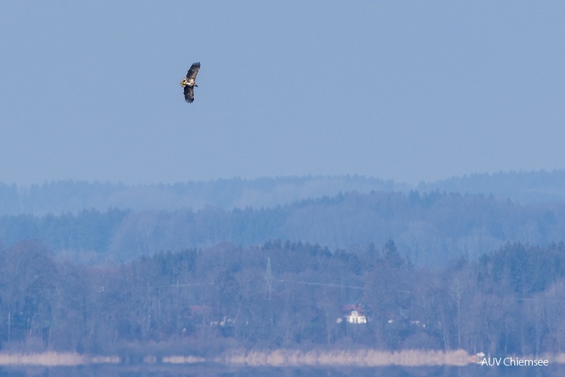 AktNatBeo-230210-ta-06-HB-Seeadler-23-02-10.jpg