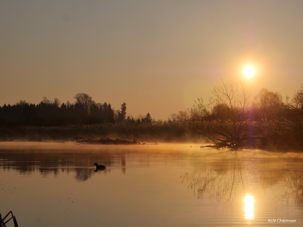 An der Prienmündung bei Sonnenaufgang