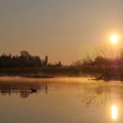 An der Prienmündung bei Sonnenaufgang