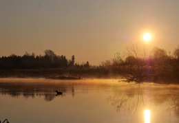 An der Prienmündung bei Sonnenaufgang