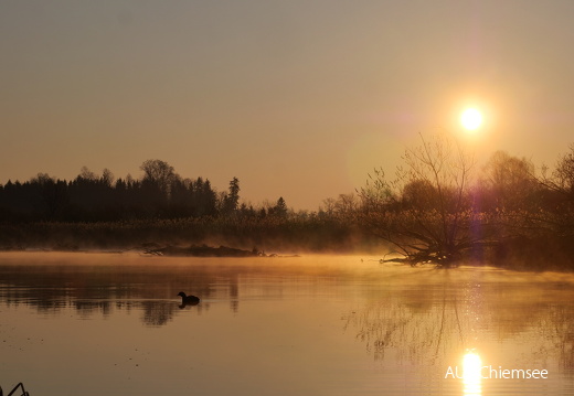 An der Prienmündung bei Sonnenaufgang