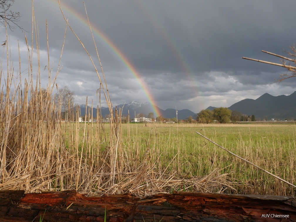 Regenbogen