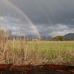 Regenbogen