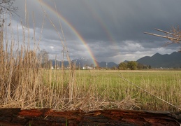 Regenbogen