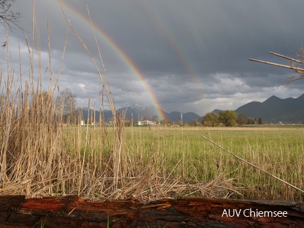 Regenbogen