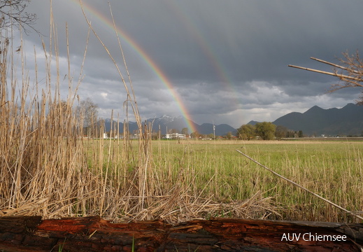 Regenbogen