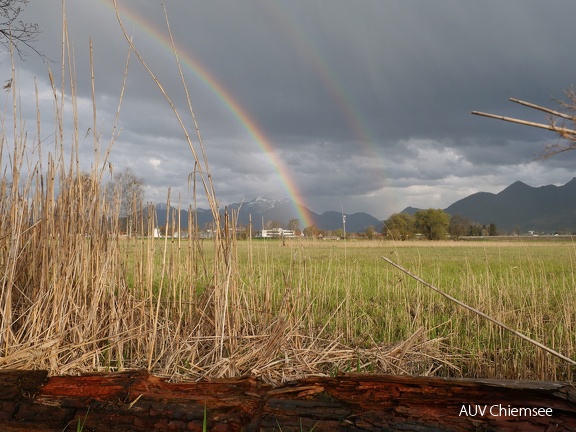 Regenbogen