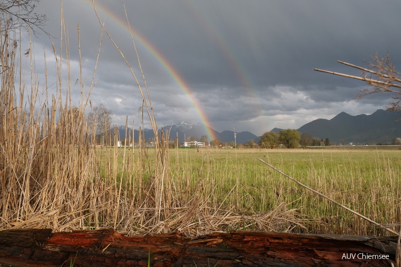 Regenbogen über dem Irschener Winkel
Mit einem Klick! zur Fotogeschichte mit weiteren Bildern
Irschener Winkel / 24.04.2023 / Foto: Johannes Almer
AktNatBeo-230424-ja-8_Regenbogen.jpg