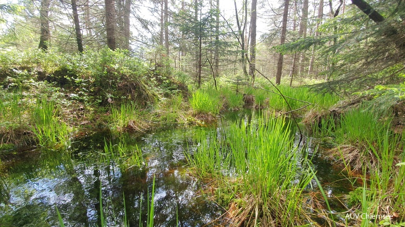 AktNatBeo-230518-ja-1_Kendlmuehlfilzen.jpg