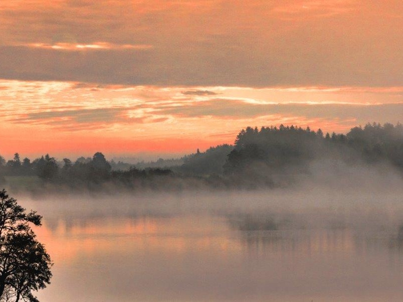 Morgennebel am Pelhamer See