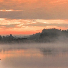Morgennebel am Pelhamer See