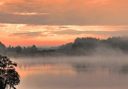 Morgennebel am Pelhamer See