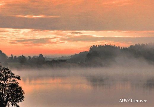 Morgennebel am Pelhamer See