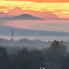 Frühnebel über Eggstätt