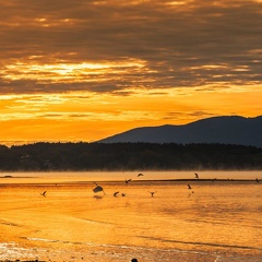 vor Sonnenaufgang bei Seebruck