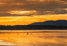vor Sonnenaufgang bei Seebruck