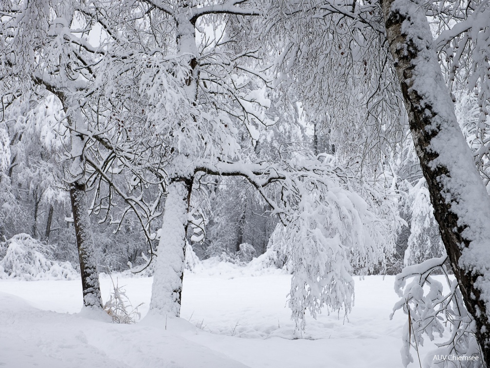 Winterlandschaft