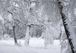 Winterlandschaft