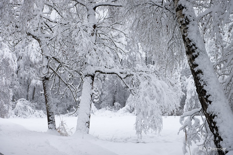 AktNatBeo-231202-kw-Winterlandschaft-DSF3778-2.jpg