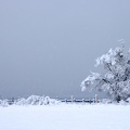 Winterlandschaft