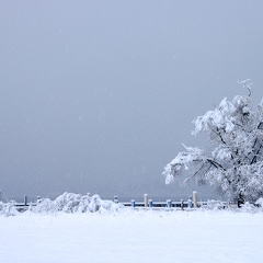 Winterlandschaft