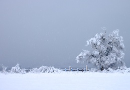 Winterlandschaft