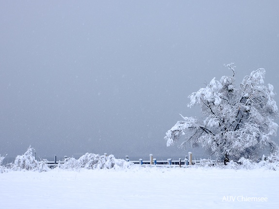 Winterlandschaft