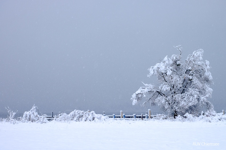 AktNatBeo-231202-kw-Winterlandschaft-DSF3793.jpg