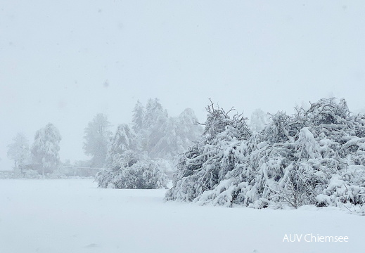 Winterlandschaft