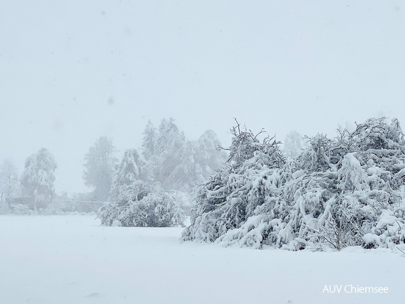 Winterlandschaft