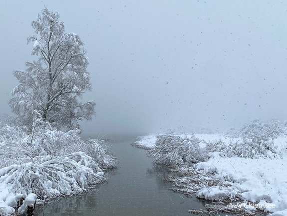 Winterlandschaft