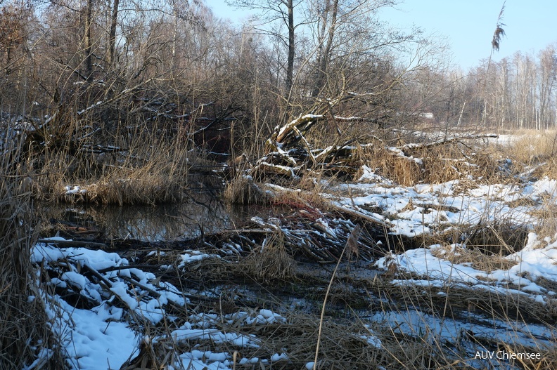 AktNatBeo-240113-ja-05_Biberburg.jpg