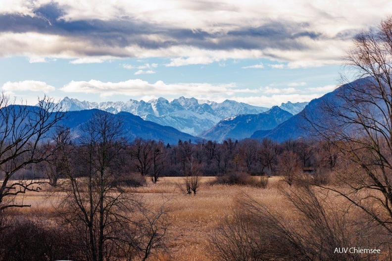 Kaisergebirge und Grabenstätter Moos
Mit einem Klick! zur Fotogeschichte mit weiteren Bildern
Seebruck / 6.02.2024 / Foto: Andreas Hartl
15-Kaisergebirge und grabstaetter Moos.jpg