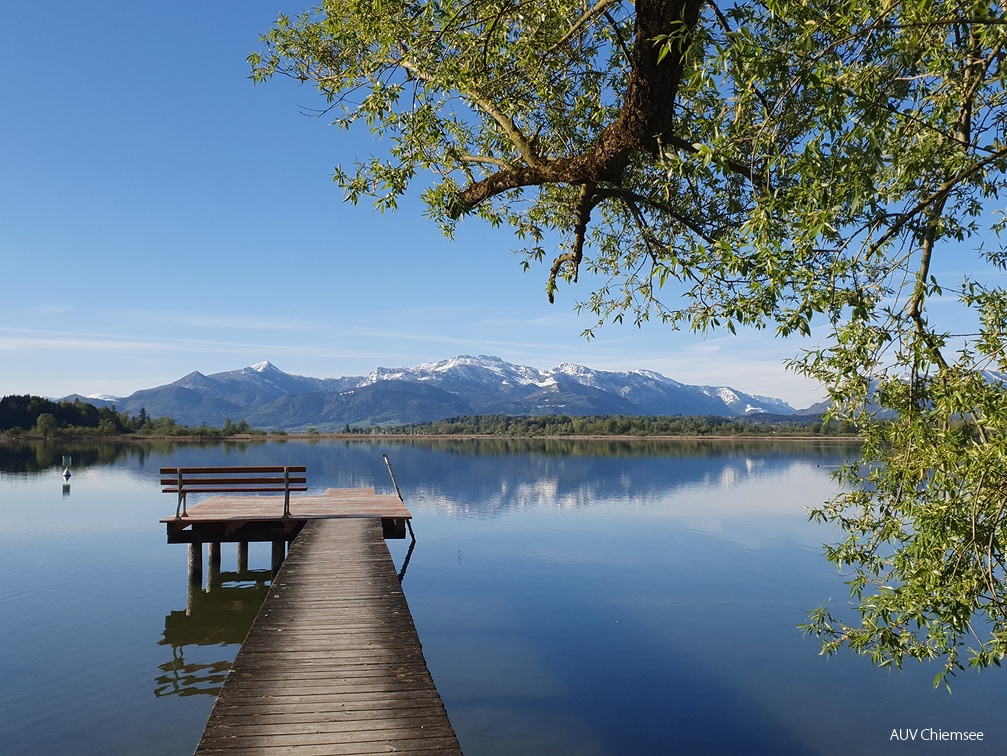 Schafwaschener Winkel mit Alpenpanorama