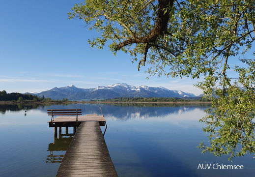 Schafwaschener Winkel mit Alpenpanorama
