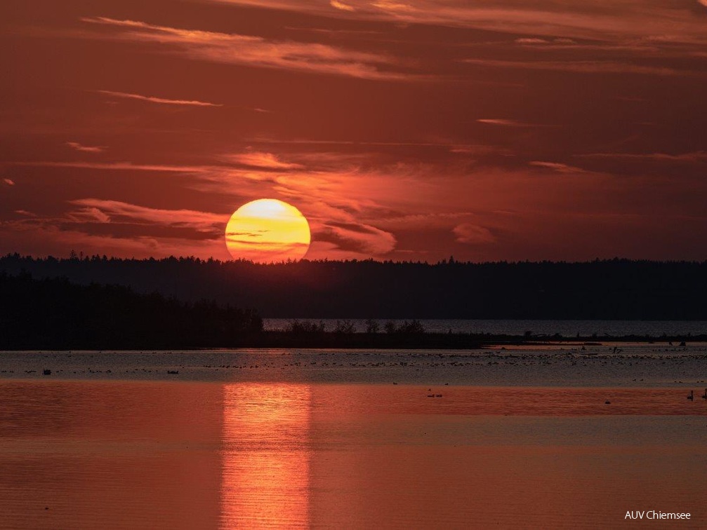 Sonnenuntergang in der Hirschauer Bucht