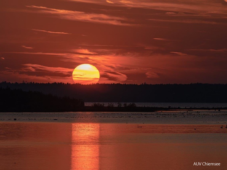 Sonnenuntergang in der Hirschauer Bucht