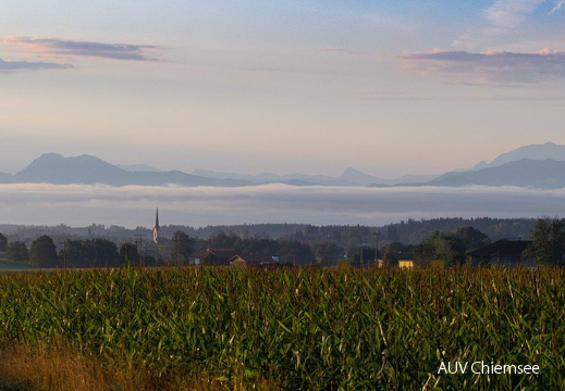 Chiemgau im Talnebel