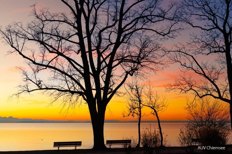 Abendrot am Chieminger Chiemseeufer
Mit einem Klick! zur Fotogeschichte mit weiteren Bildern
Chieming / 26.12.2024 / Foto: Andreas Hartl
AktNatBeo-241226-ah-13-Abendrot in chieming (2).jpg