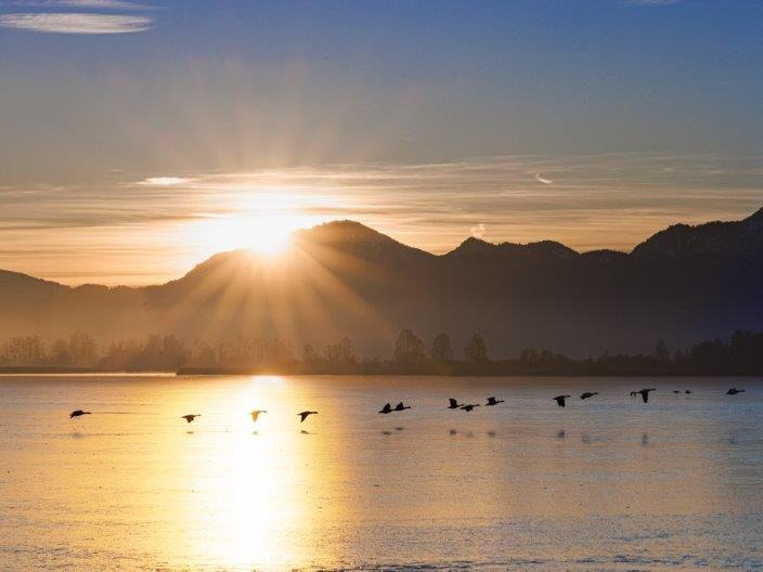 Sonnenaufgang am 1.Januar 2025 in der Schafwaschener Bucht