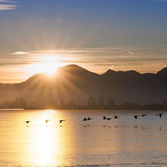 Sonnenaufgang am 1.Januar 2025 in der Schafwaschener Bucht