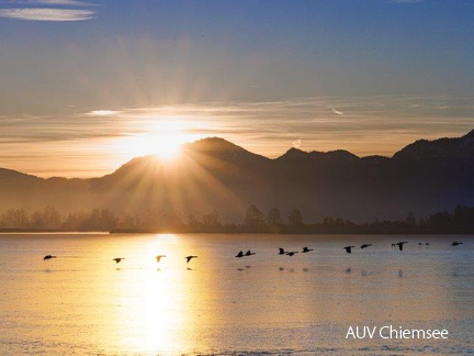 Sonnenaufgang am 1.Januar 2025 in der Schafwaschener Bucht