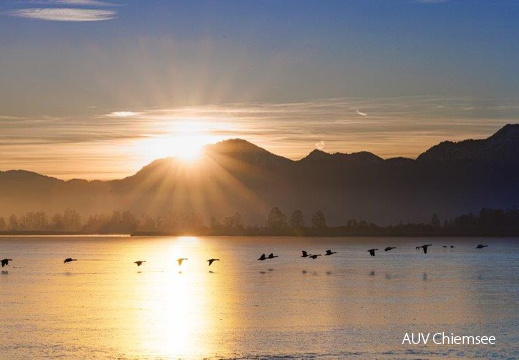 Sonnenaufgang am 1.Januar 2025 in der Schafwaschener Bucht