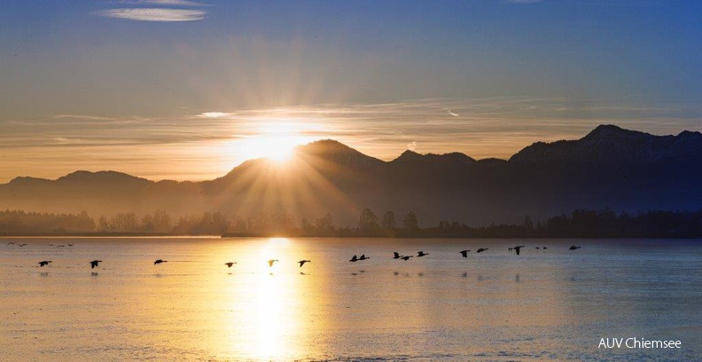 Sonnenaufgang mit Graugänsen in der Schafwaschener Bucht
Mit einem Klick! zur Fotogeschichte mit weiteren Bildern
Schafwaschener Bucht / 1. Januar 2025 / Foto: Andreas Hartl
AktNatBeo-250101-ah-03-1. Januar 2025 Schafwaschner Bucht.jpg