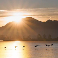 Monatsstartbild Januar 2025 Sonnenaufgang am 1.Januar-2025